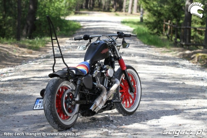 09 Custom Hell Ride Harley Davidson Sportster tyl