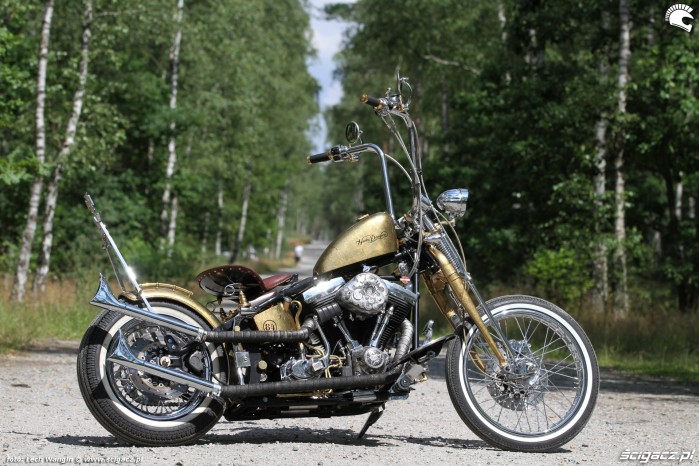 09 Harley Davidson FXST Softail Standard custom prawy profil