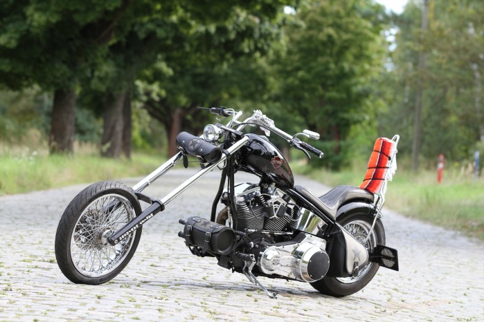 06 Custom Easy Rider Szajba statyka
