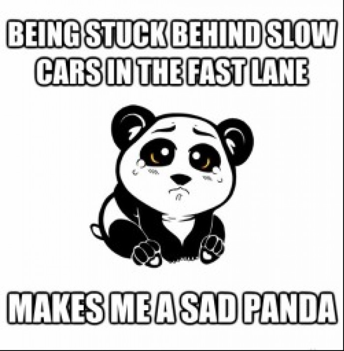 smutna panda
