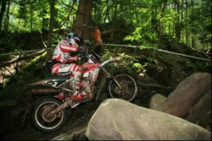 motocross w lesie