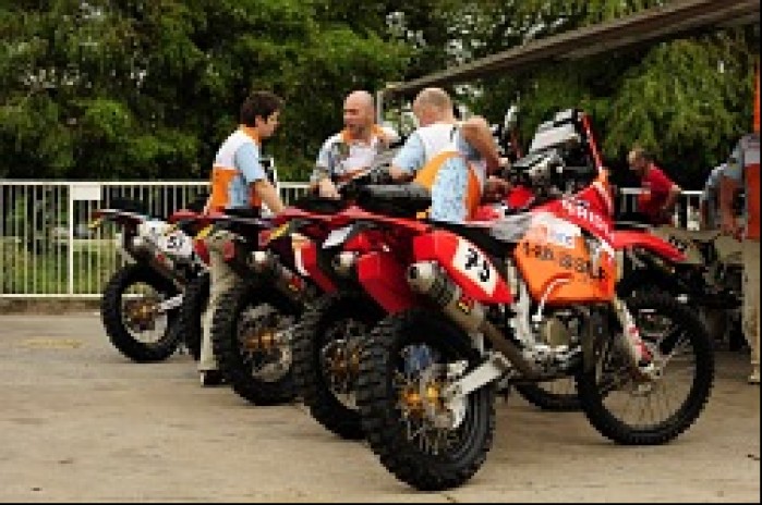 Krzysiek Jarmuz Polska