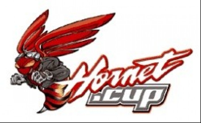 logo hornet cup