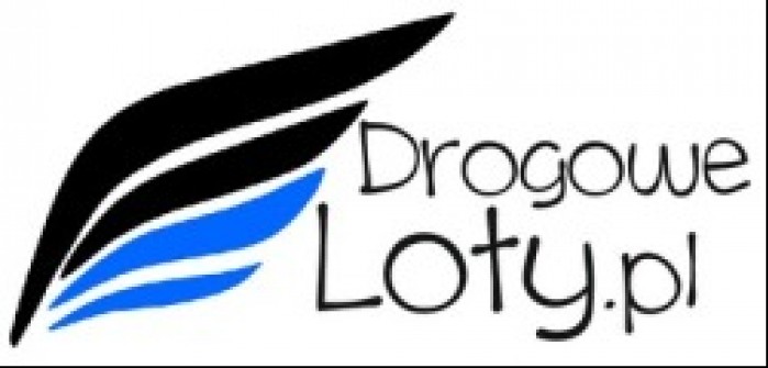 DrogoweLoty Logo