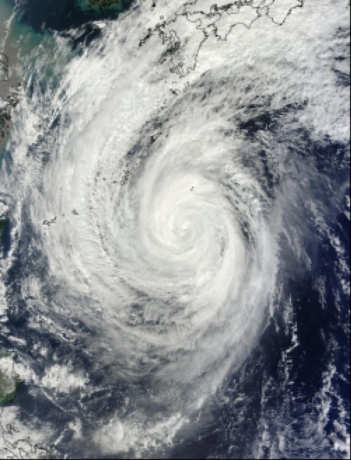 Tajfun