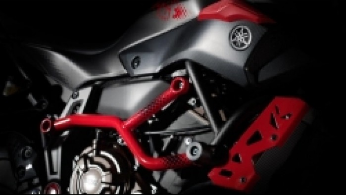 Yamaha MT07 Moto Cage 12