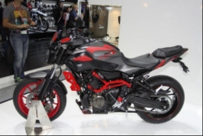 Yamaha MT07 Moto Cage 3