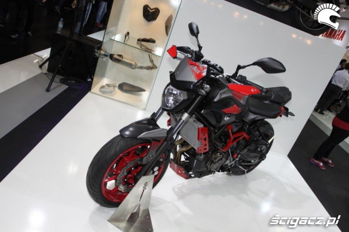 Yamaha MT07 Moto Cage 4