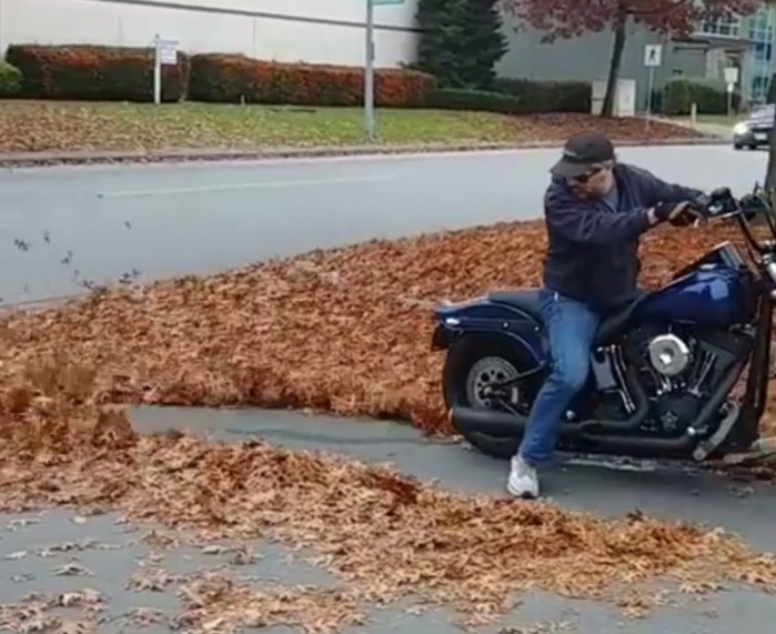 motocykl dmuchawa do lisci