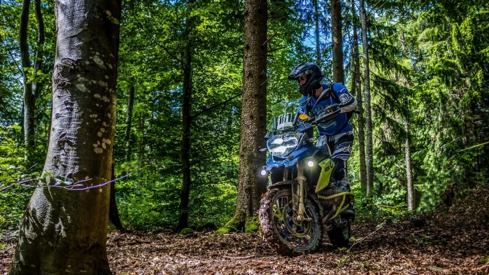 motocykle w lesie2