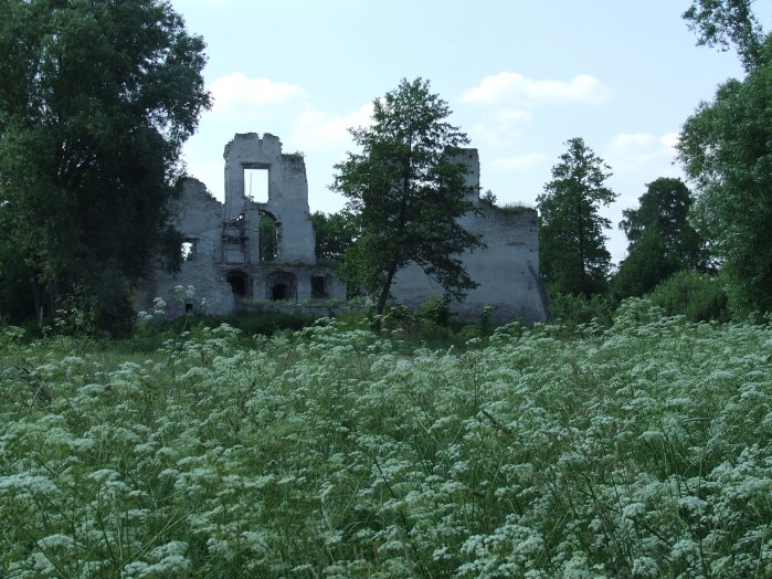 09 Ruiny zamku w Mokrsku
