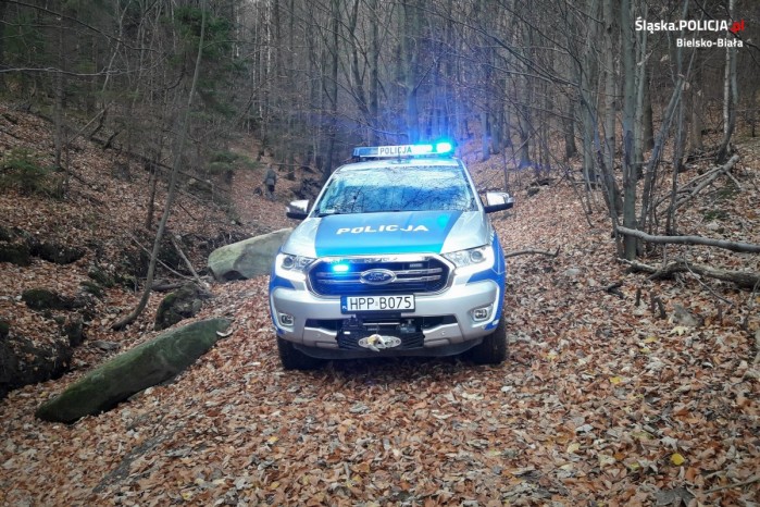 policja w lesie
