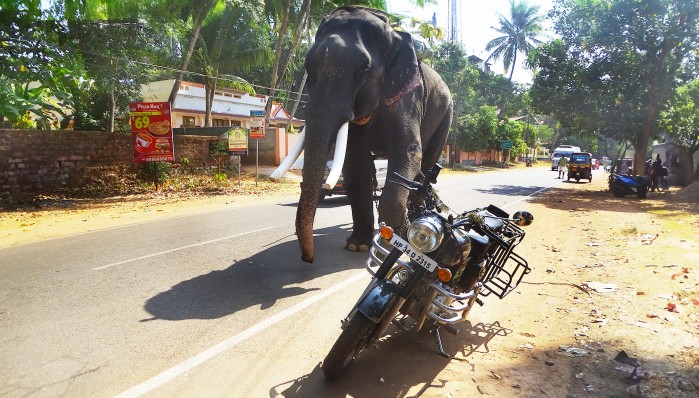 wyprawy motocyklowe w indiach wiltod palak