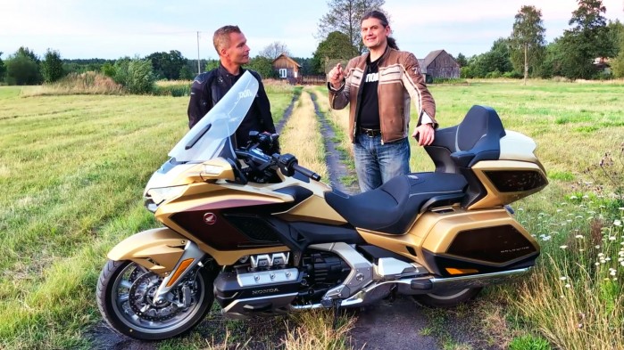 Gamonie GoldWing