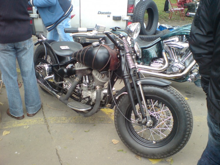 Flathead Bobber