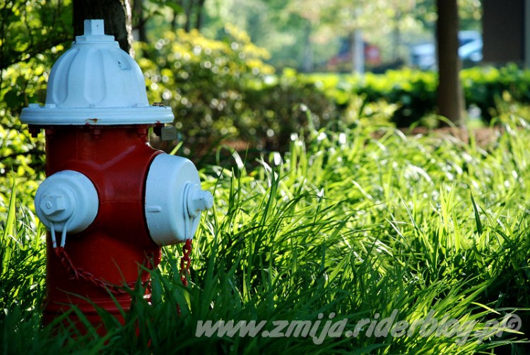 Hydrant ogrodowy