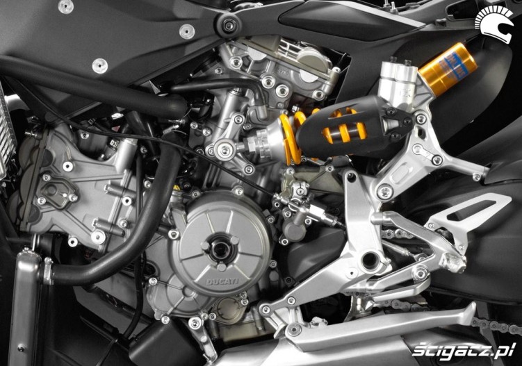 wnetrznosci Panigale