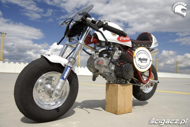 monkey chlodnica oleju