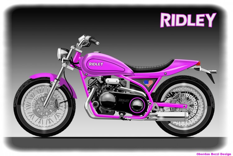 Ridley PINK LADY