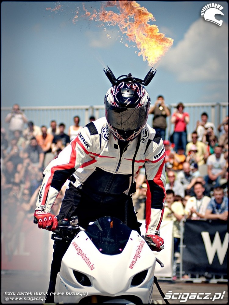 twarza w twarz z bestia