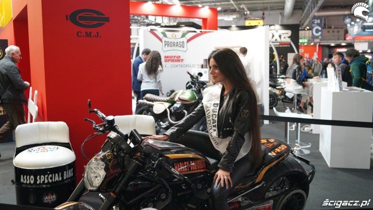Miss Ducati HD V Rod