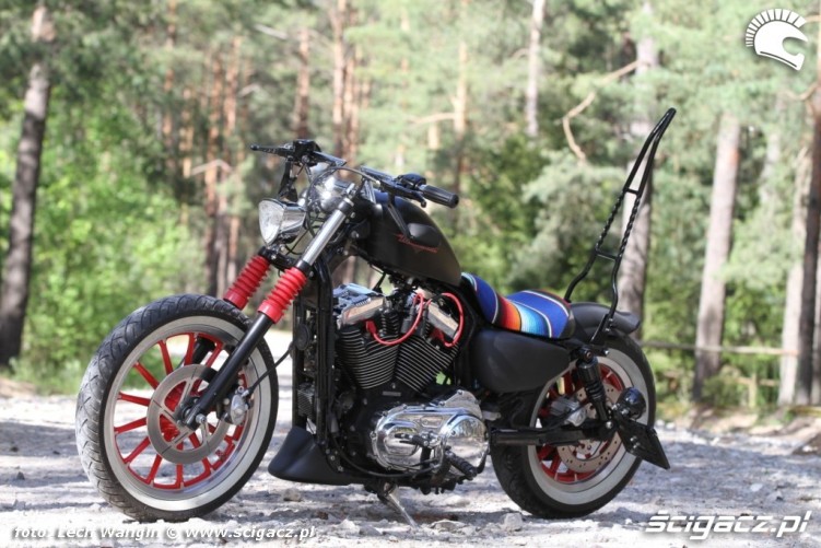 16 Custom Hell Ride Harley Davidson Sportster