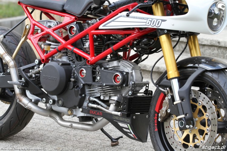 17 Ducati Monster 600 wersji custom z bliska