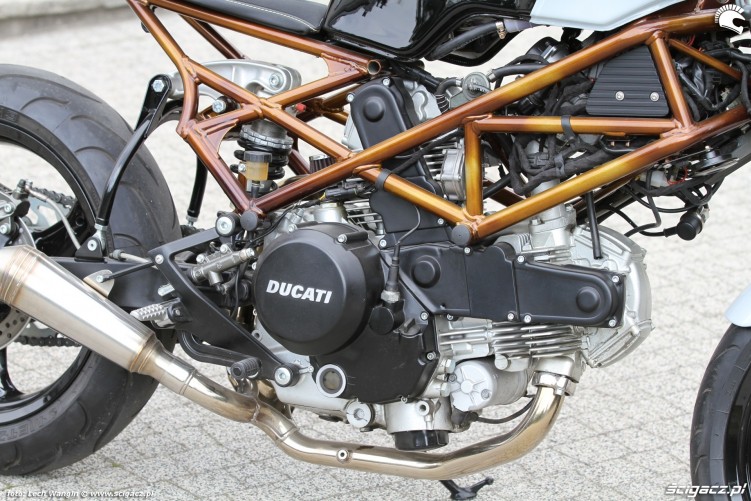 29 rama Ducati Monster 600 wersji custom