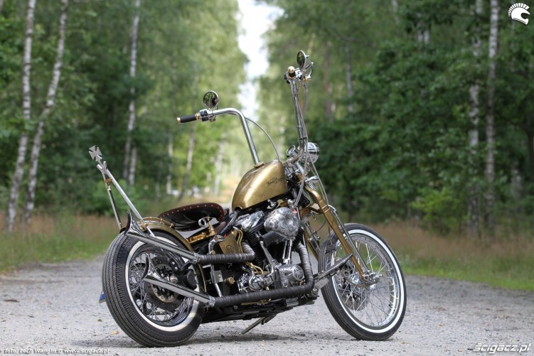 10 Harley Davidson FXST Softail Standard custom