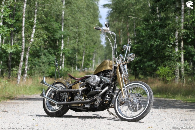 30 Harley Davidson FXST Softail Standard custom