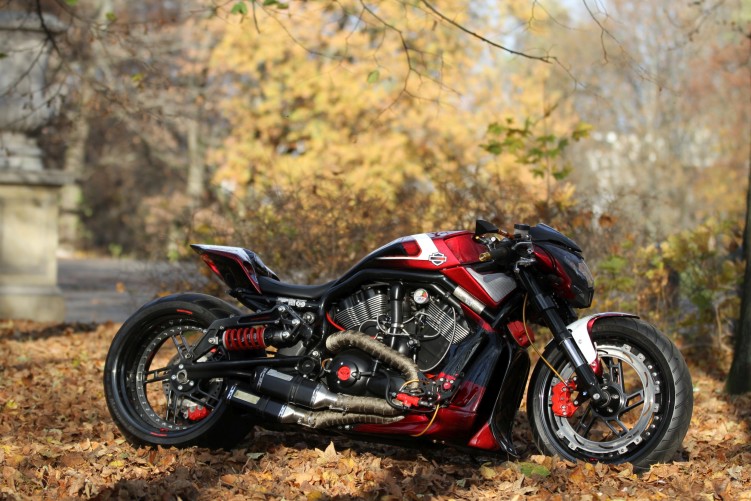 08 Harley Davidson V rod Mephisto