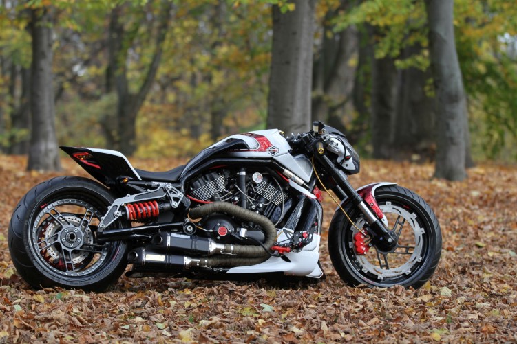 32 Harley Davidson V rod Grunwald jesien