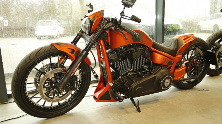 03 Thunderbike custom bike hd