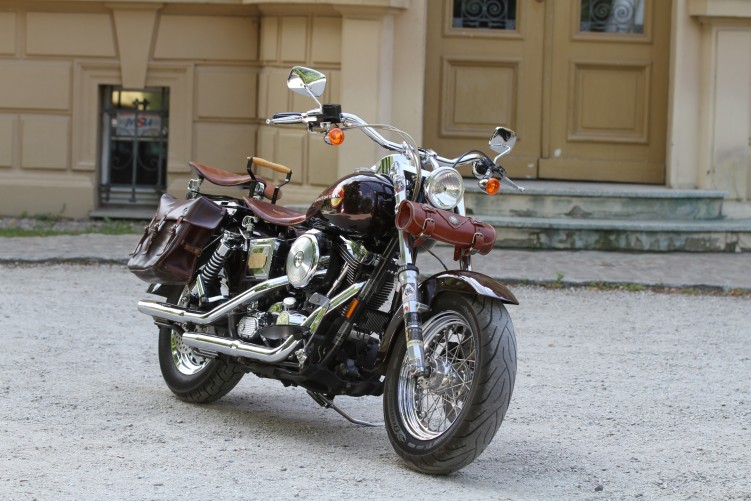 15 Harley Davidson Dyna Wide Glide custom bike