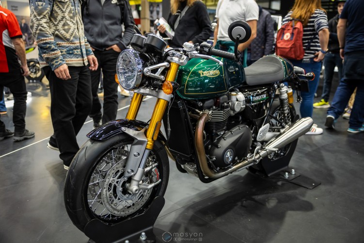 triumph thruxton 2024 EICMA 2023 50