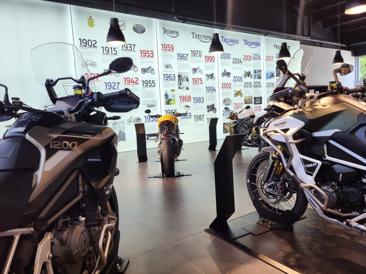 39 triumph tiger family salon lodz