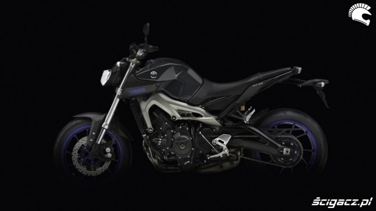 z profilu lewa strona