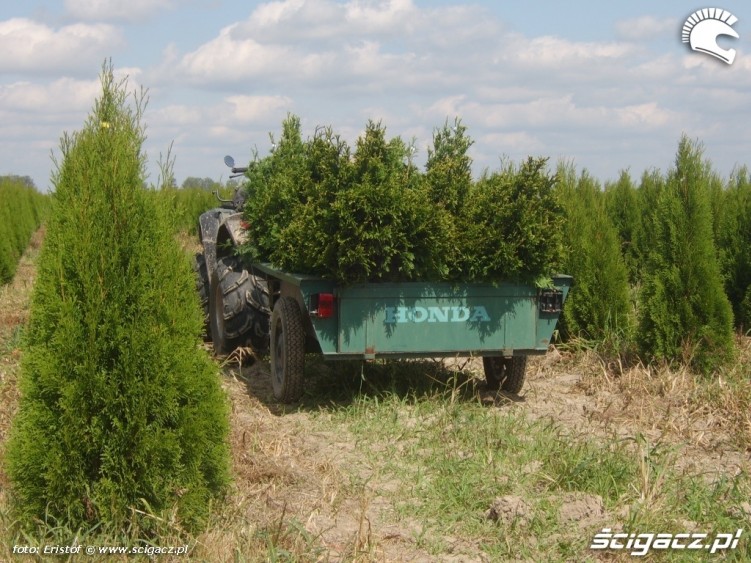 quad przyczepka honda