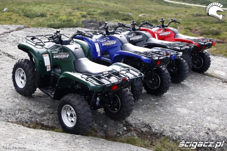 Yamaha Grizzly Rodzina