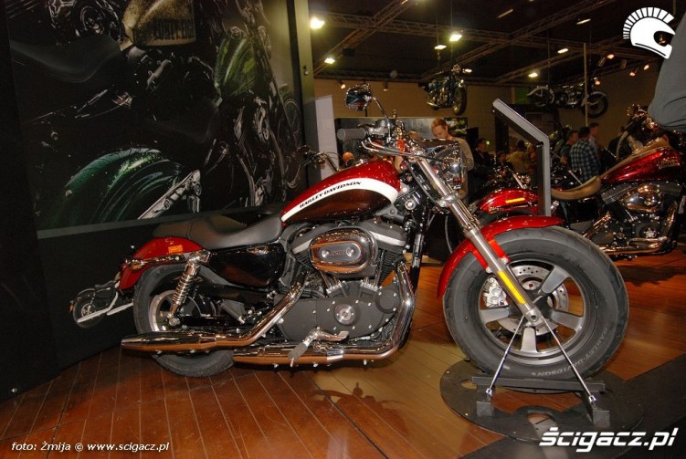 Harley Davidson Kolonia