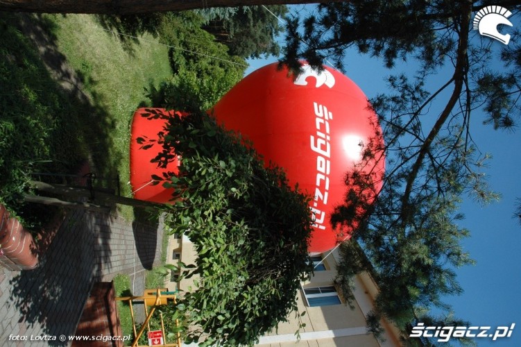 Desmomeeting 2014 Scigacz pl