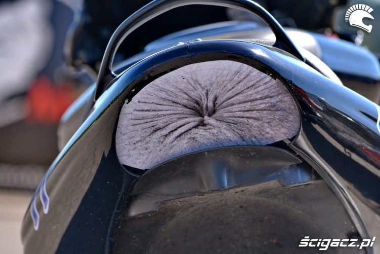 zacisniety zwieracz ducata