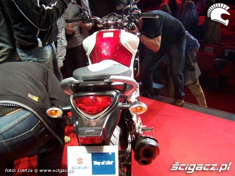 Suzuki Gladius 650