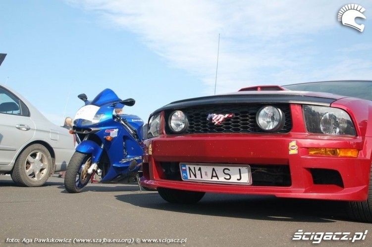 GECKO CUP MODLIN 2008 Ford Mustang