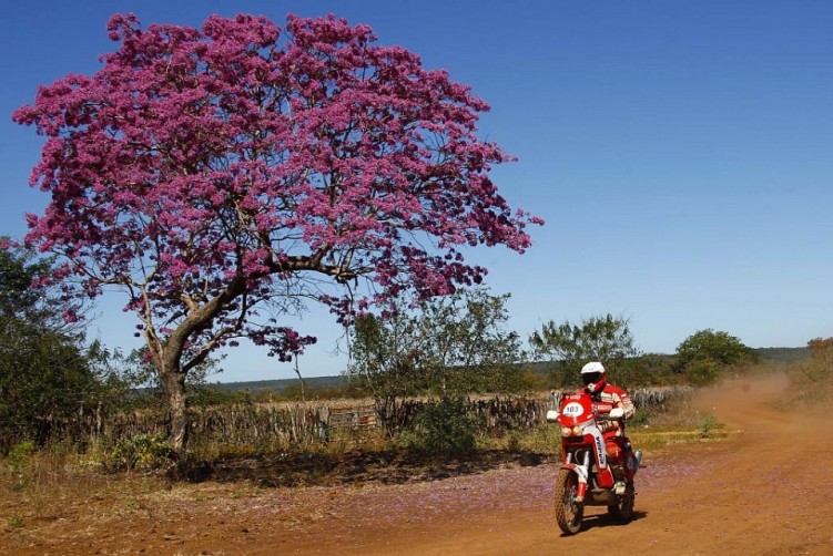 orlen team w brazylii