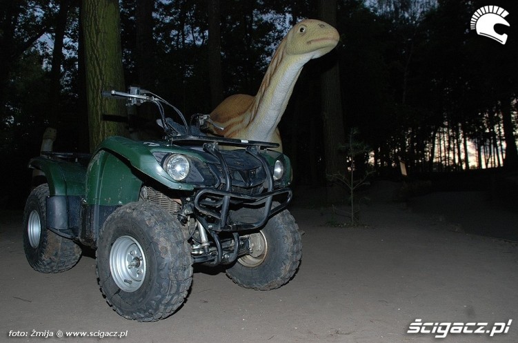 Park Dinozaurow quady Rogowo