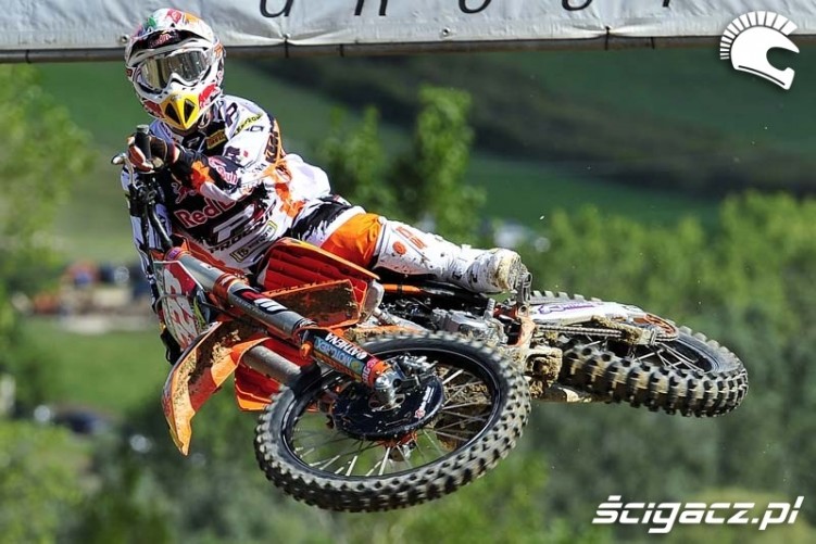 Cairoli MX Champion