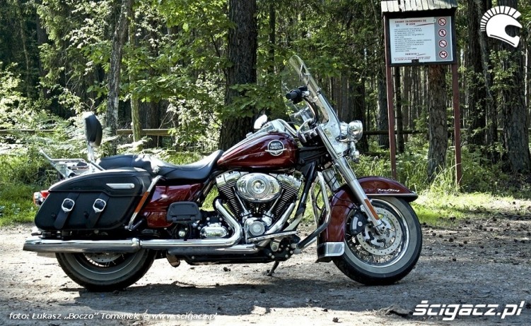 Harley Davidson Road King w lesie 2