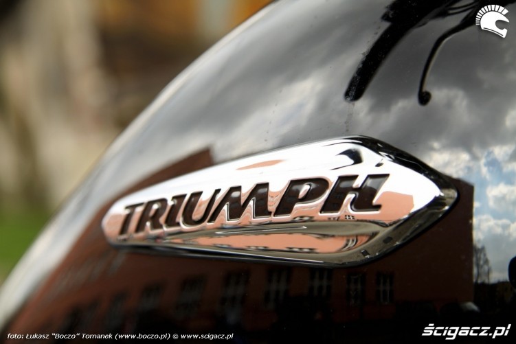 logo Triumph Thunderbird Storm
