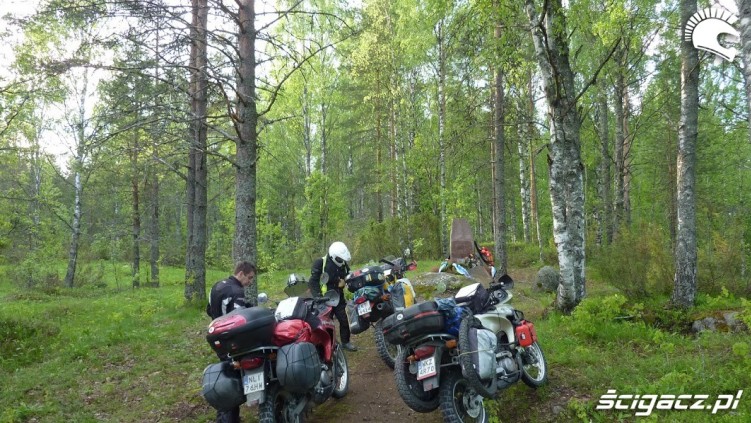 motocykle w lesie